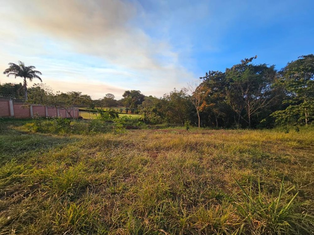 Terreno - Venda - Vila do Golf - Ribeiro Preto - SP